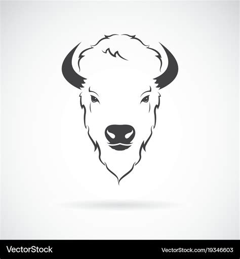 Buffalo Head Design On White Background Wild Vector Image