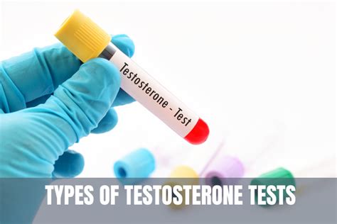 Types Of Testosterone Tests Which Should You Take Synergistic Labs