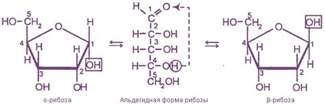 Моносахариды