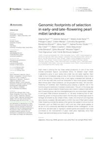 Genomic Footprints Of Selection In Early And Late Flowering Pearl