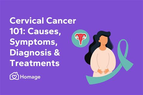 Cervical Cancer 101 Causes Symptoms Diagnosis And Treatments Homage Australia Homage Australia