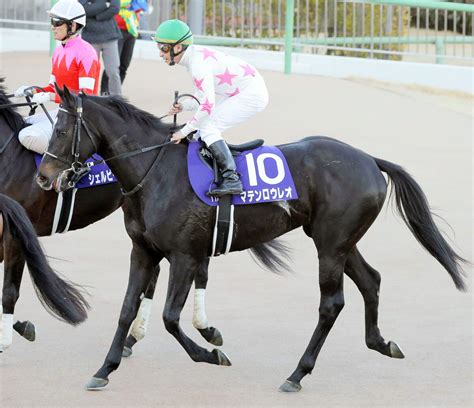 【きさらぎ賞】古馬と互角以上の動きを見せるマテンロウレオ 昆調教師「勝ち負けになると思う」 Umatoku 馬トク