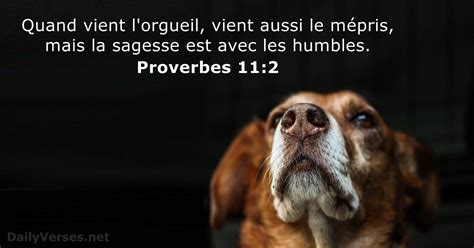 15 Versets Biblique Sur L Orgueil DailyVerses Net