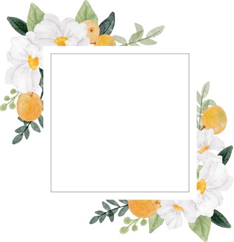 Acquerello Fiore Bianco E Ghirlanda Di Frutta Arancione Cornice Banner