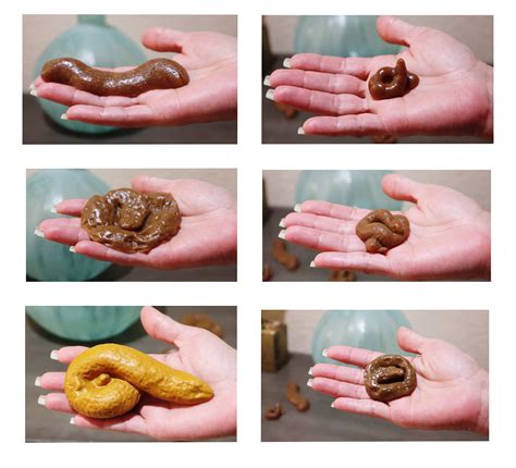 Aryellys The Prank Specimen Bag Of Fake Poop 5 Sticky 1 Floating