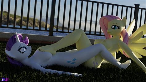 2494687 Questionable Artist Shadowboltsfm Fluttershy Rarity