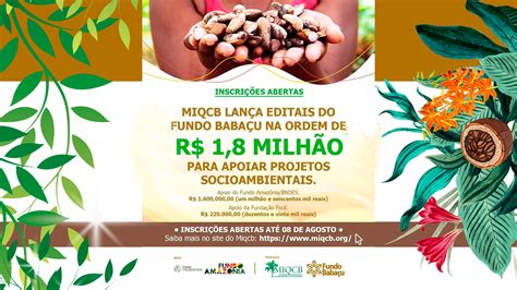 Edital Fundo Babaçu oportunidade para projeto socioambientais