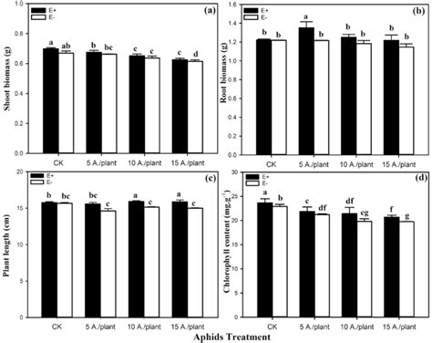 The Shoot Biomass A Root Biomass B Plant Length C And