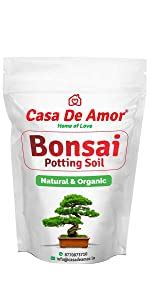 Casa De Amor Succulents And Cactus Potting Soil Organic Special