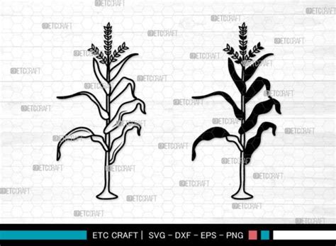 Corn Stalk Svg Corn Stalk Silhouette Graphic By Pixel Elites