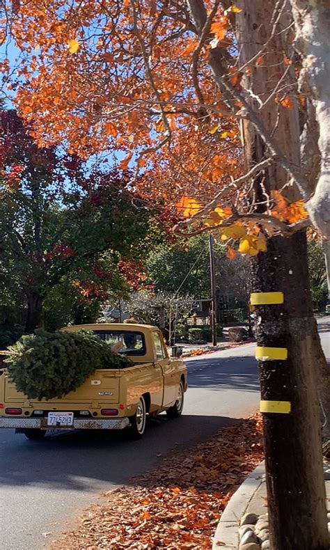 1974 Ford Courier