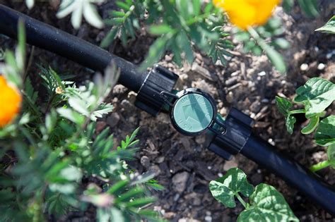 Mister Landscaper Drip Irrigation And Micro Spray Drip Irrigation And