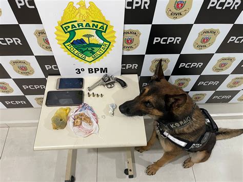 Pcpr Prende Quatro Pessoas Em Flagrante Por Tr Fico De Drogas Em