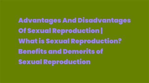 Advantages And Disadvantages Of Sexual Reproduction What Is Sexual