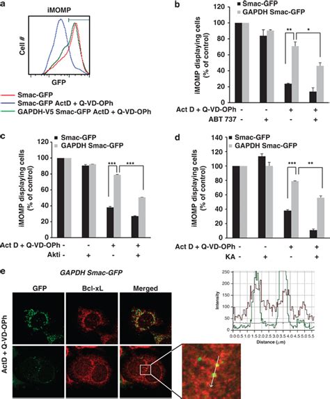 Gapdh Leads To Imomp Through Akt Activation And Bcl Xl Overexpression