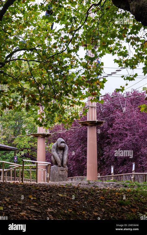 Go Ape Alexandra Palace Adventure Park With Treetop Adventure Zip