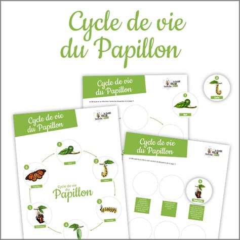 Téléchargement Cycle de vie du papillon Le blog SavoirsPlus