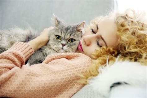 Can Cats Be Emotional Support Animals? - Therapy Pets Unlimited