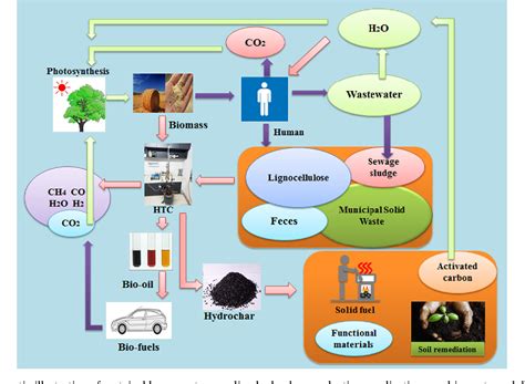 Figure From A Review Of The Hydrothermal Carbonization Of Biomass