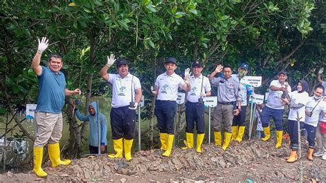 Tanam Mangrove Yusfa Buktikan Batam Kota Modern Yang Memperhatikan