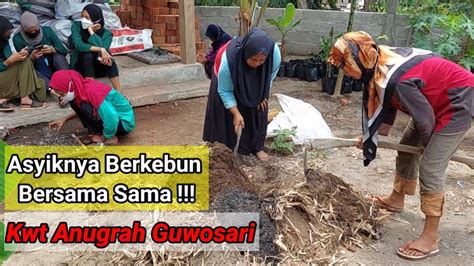 Asyiknya Berkebun Di Pekarangan Rumah Bersama Sama Di Kwt Anugrah