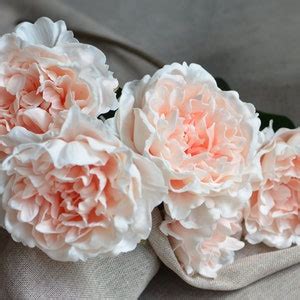 Peach Blush Peonies Real Touch Peonies DIY Silk Wedding Bridal Bouquets ...