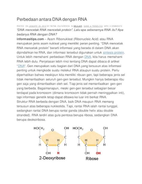 Pdf Perbedaan Antara Dna Dengan Rna Dokumen Tips