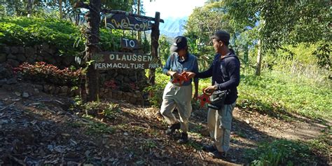 Permaculture Research Ph Layog Country Farm Learning From The Wisdom