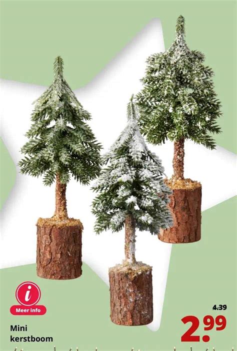 Mini Kerstboom Aanbieding Bij GroenRijk 1Folders Nl