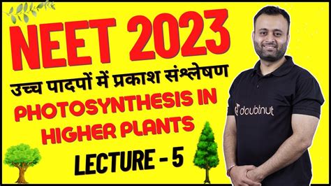 Photosynthesis In Higher Plants Neet 2023 Uch Padpo Me Prakash