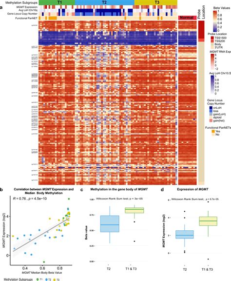 Methylation Levels Of The MGMT Gene Tumour Columns Are Presented In