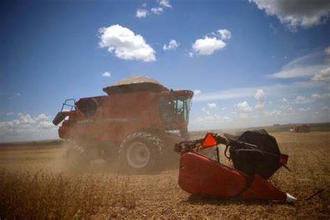 Mercado brasileiro de fertilizantes deve crescer para 44 milhões de