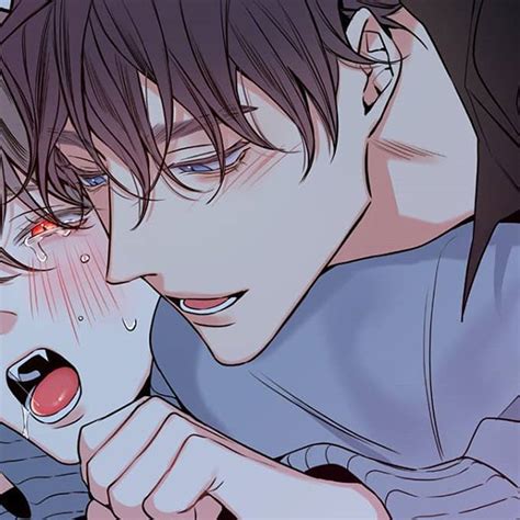 My Favorite Bl Yaoi Vymanga