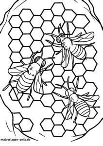 Ausmalbilder Bienen Kostenlos Herunterladen Und Ausmalen Lassen