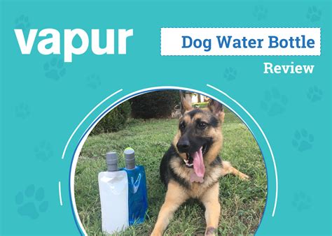 Vapur EZ Lick Dog Water Bottle Review 2025: An Expert's Breakdown – Dogster