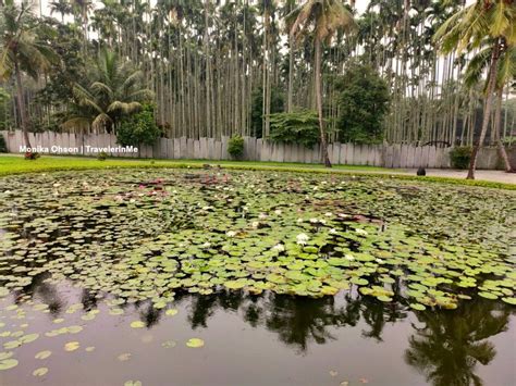 My First Visit To Isha Yoga Centre Tripoto