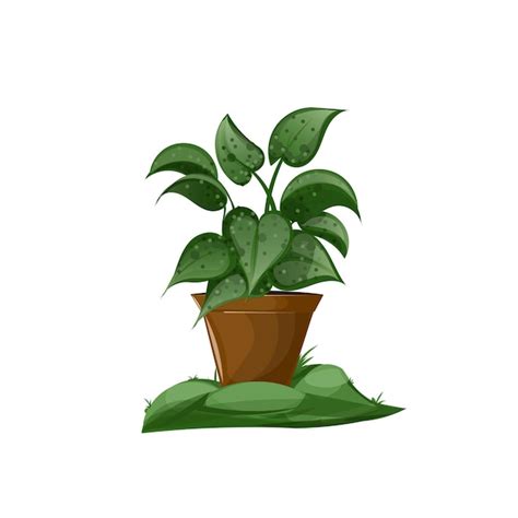 Premium Vector Vector Houseplants Illustration House Tropical Leaves