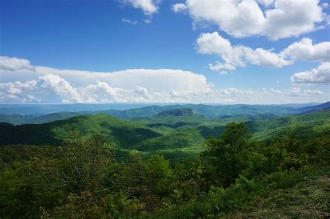 HD wallpaper: flowers, mountains, USA, North Carolina, Blue Ridge ...