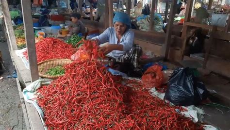 Cabai Rawit Tembus Rp Ribu Warga Mandailing Natal Menjerit