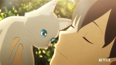 Nakitai Watashi Wa Neko O Kaburu Estreia Mundial Na Netflix Amor De