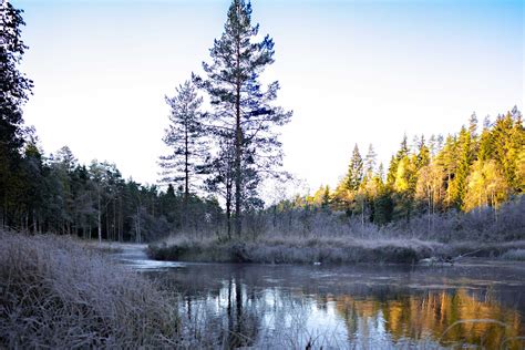 Fotos gratis paisaje árbol agua naturaleza bosque desierto