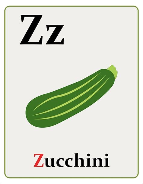 Premium Vector Alphabet Flashcard With Letter Z For Zucchini