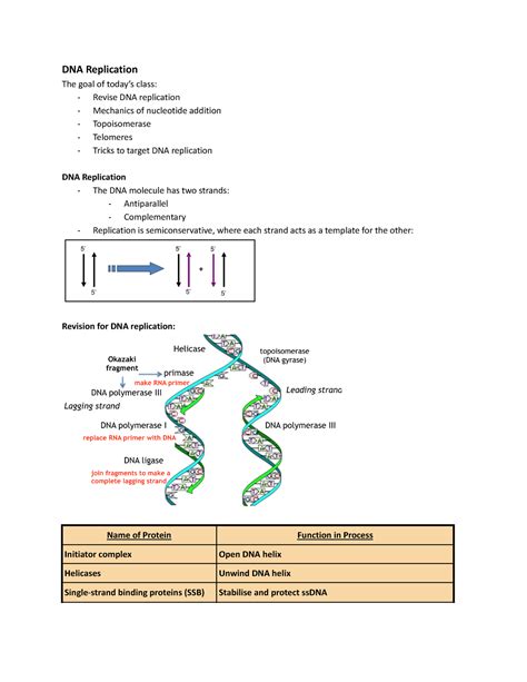 Biol Mm Module Dna Replication The Goal Of Todays Class