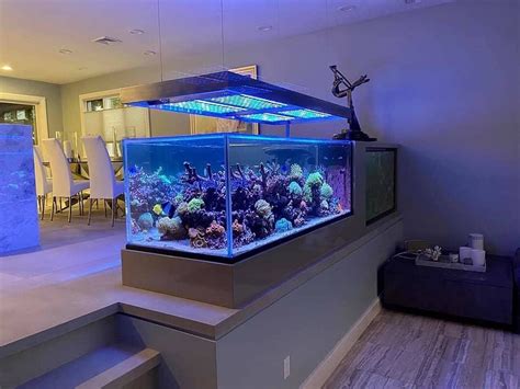 Most Beautiful Aquascape Reef Tanks Atlantik Icon Led Lighting •orphek