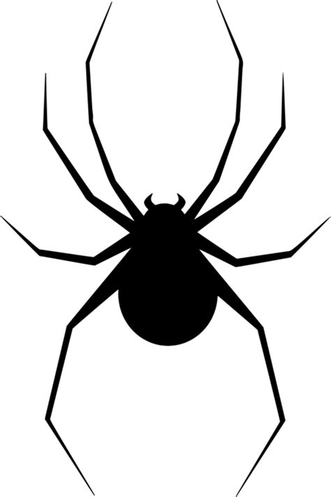 Free Black And White Spider Clipart Download Free Black And White Spider Clipart Png Images