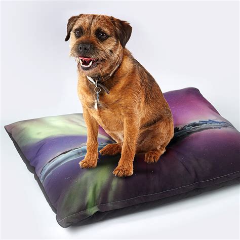 Print on Demand Custom Pet Beds - Print API, Dropshipping