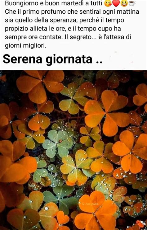 Pin Di Farfalla Allegra Su Giorni Della Settimana Buongiorno