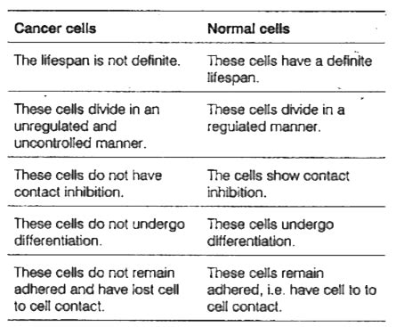 Difference Between Cancer Cells And Normal Cells