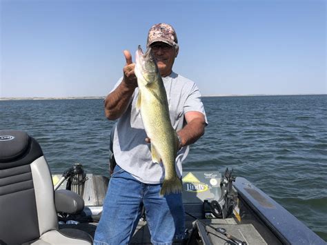 Lake Sakakawea Fishing Report-August 23, 2018 - Mike Peluso Outdoors