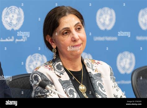 Rola Dashti Attends Press Briefing On Socioeconomic Impacts Of War In